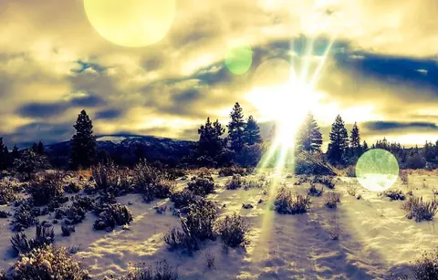Low sunlight over snow and distant trees beneath a textured sky